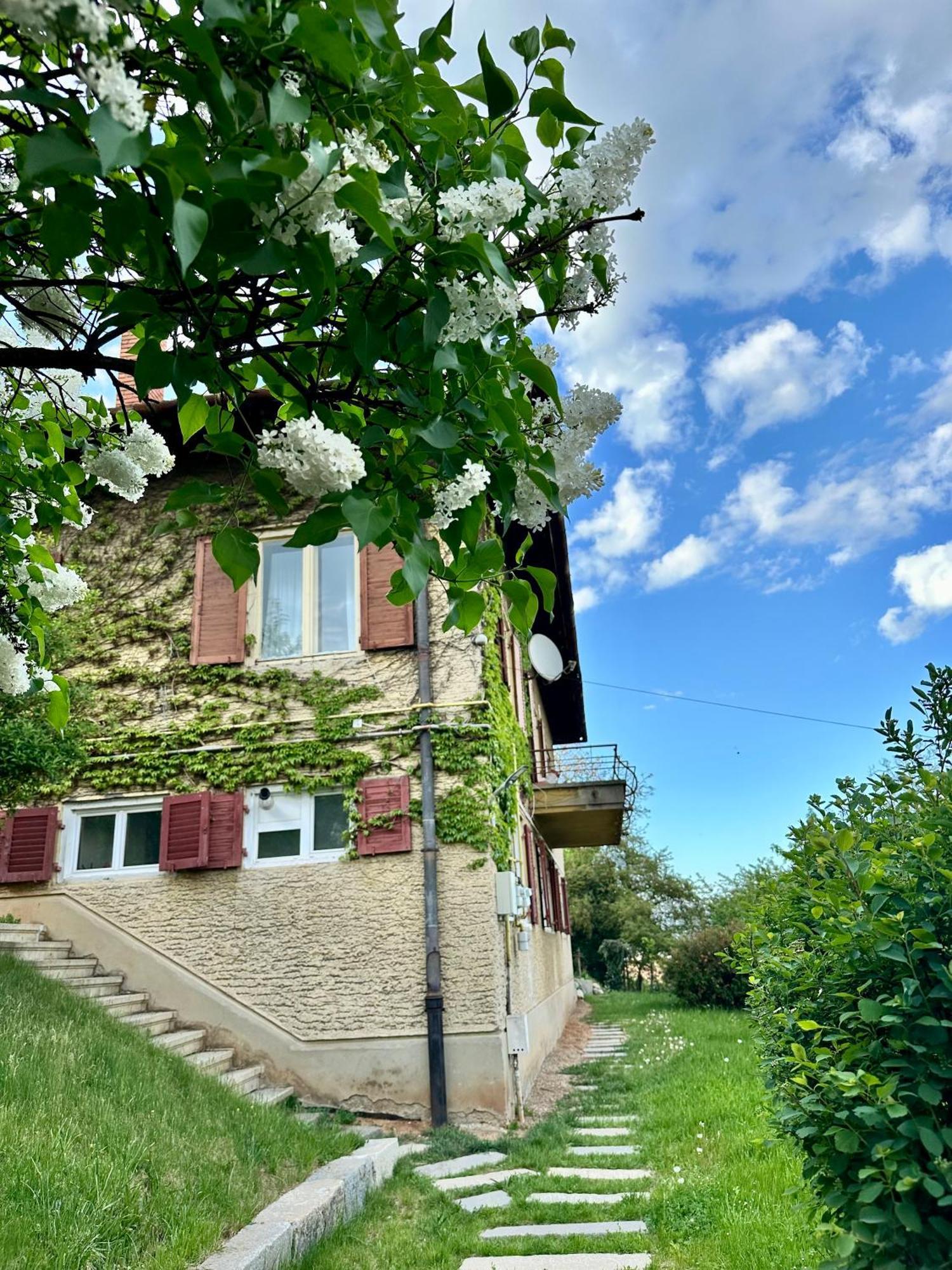 Apartment Cloos - Elegant With Panoramic View